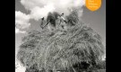 Morte, peccato e nessuna resurrezione nella musica da neri suonata da questo bianco che vive in una fattoria fuori dal tempo