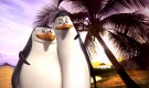 Kico-On-Holiday-penguins-of-madagascar-11694823-1311-1080